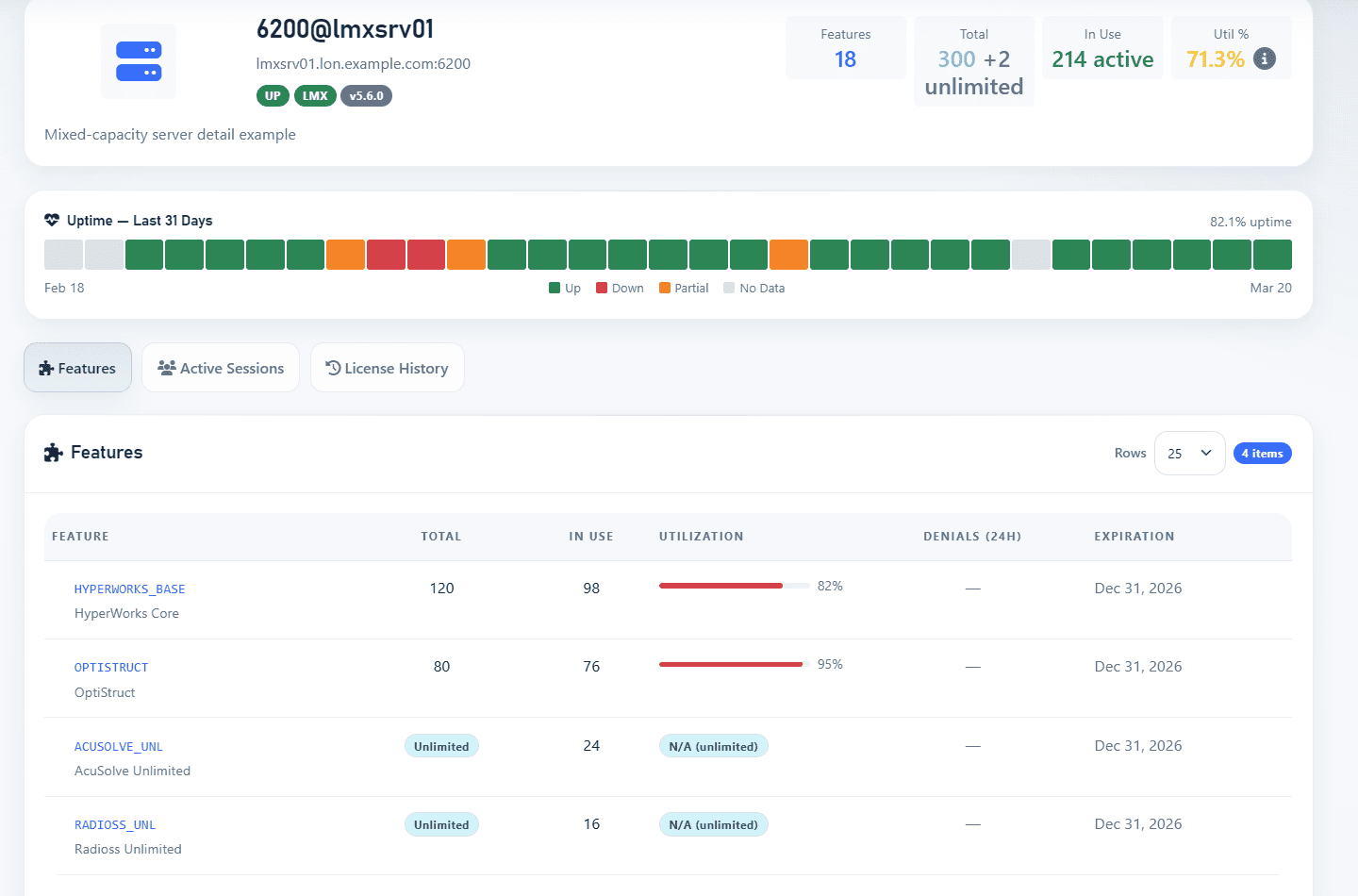 Server detail page showing a license server, utilization, availability, and feature usage
